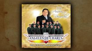 Los Angeles De Charly  No Te He Dejado De Amar [upl. by Eniger]