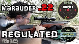 Benjamin Marauder 22 Air Rifle  50 amp 100 Yard Accuracy TEST  FULL REVIEW  Regulated PCP Airgun [upl. by Einotna636]