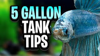 5 Gallon Fish Tank Hacks Avoid These Common Beginner Mistakes  Perfect For Your First Aquarium [upl. by Adyam520]