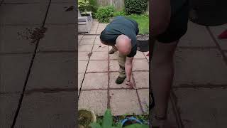 Repointing Paving Slabs  Satisfying Patio Renovation diy gardening [upl. by Anchie]