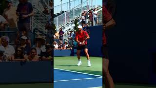 DIMITROV Backhand [upl. by Ajile30]