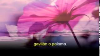 GAVILAN O PALOMA [upl. by Anirec711]