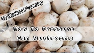 How To Pressure Can Mushrooms 52 Weeks of Canning [upl. by Vivl900]