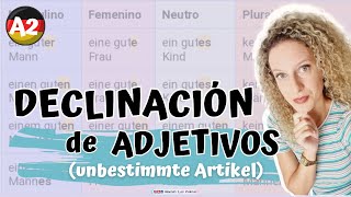 𝗔𝗗𝗝𝗘𝗞𝗧𝗜𝗩𝗗𝗘𝗞𝗟𝗜𝗡𝗔𝗧𝗜𝗢𝗡 😎 Explicación Fácil de Cómo 𝗗𝗘𝗖𝗟𝗜𝗡𝗔𝗥 los 𝗔𝗗𝗝𝗘𝗧𝗜𝗩𝗢𝗦 en Alemán [upl. by Yedoc]