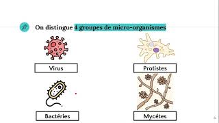 Les microorganismes 🦠 [upl. by Rist286]