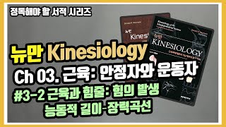 Kinesiology Ch03 32 능동적 길이장력곡선 [upl. by Ikcir225]