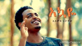 Alemeye Getachew new ethiopian music lyrics [upl. by Berlyn]