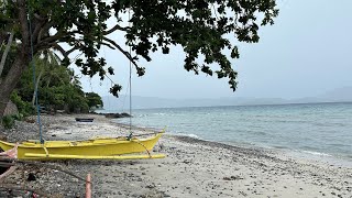 Altamare Resort Review and Diving Anilao Philippines [upl. by Oivaf320]