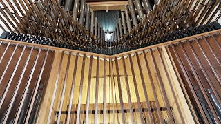 Orgel des Monats April die RiegerOrgel in der Friedenskirche Krefeld [upl. by Salocin810]