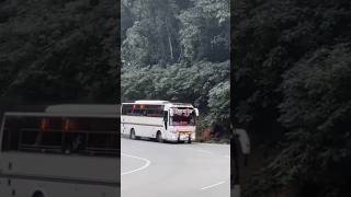 KERALA EVERSTAR TOURIST BUS 👀shorts [upl. by Nada]