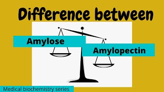 Lec 35  Difference between Amylose and Amylopectin  Short Answer Medical biochemistry series [upl. by Akinyt]