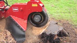 Toro STX38 Stump Grinder STX38 STX 38 [upl. by Weld530]