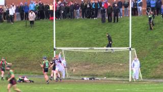 Irish Daily Mail Fitzgibbon Cup Secondhalf Highlights  UL 113 LIT 216 [upl. by Llerdnad165]