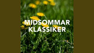 Jag tror på sommaren [upl. by Hgielrebma]