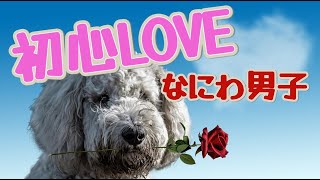 初心LOVE／なにわ男子【歌詞付き】 [upl. by Nnaerb]