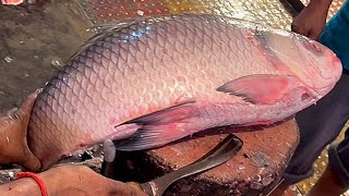 Incredible Cutting Skills  Giant Katla Fish Cutting By Expert Fish Cutter [upl. by Juno]