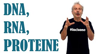 DNA RNA e proteine  Pillole di Scienza  Aldo Baglio e Giovanni Storti [upl. by Ahtanamas]