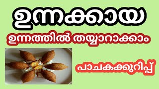 ഉന്നക്കായ എങ്ങനെ ഉണ്ടാക്കാം malayalam eveningsnacks [upl. by Charlean257]