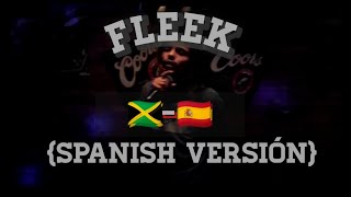 Alkaline  Fleek Spanish Version MoneyMeALookRiddim [upl. by Kehr]