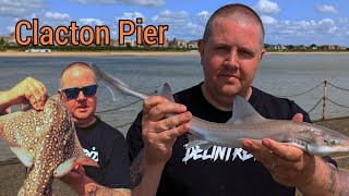 Pier Fishing UK  Clacton Pier  SpringSummer Fishing [upl. by Grimona]