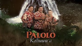 Palolo  Kaliuwaa [upl. by Sorce]