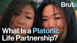 What Is a Platonic Life Partnership [upl. by Cornell518]