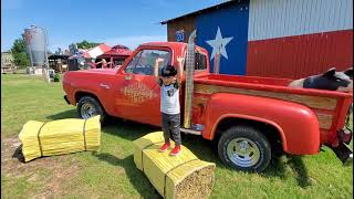 Yesterland Farm Canton TX [upl. by Jangro]