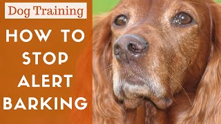 How To Train A Dog To Stop Alert Barking [upl. by Aicirtap762]