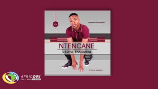 Ntencane  Iphunga Lendoda Yami Official Audio Ntencane [upl. by Eenrahc]