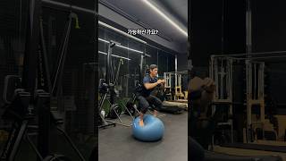 가능하신가요 Gym Ball Squat [upl. by Milly550]