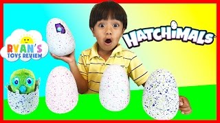 HATCHIMALS SURPRISE EGGS OPENING [upl. by Churchill]