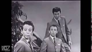 The Bee Gees  I Want You To Want Me 1963 [upl. by Ymarej]