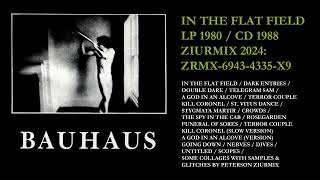 BAUHAUS IN THE FLAT FIELD  ZIURMIX [upl. by Kannan16]