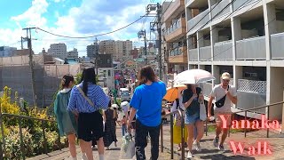 Yanaka Tokyo in Japan walking tour【4K】10202318 [upl. by Kwarteng]