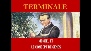 Mendel et le concept de gène [upl. by Ludwog]