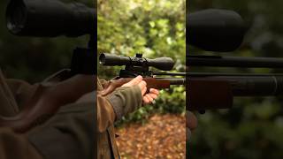 A side lever BSA Ultra CLX air rifle Short amp Compact for Hunting [upl. by Ahsetel40]