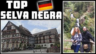 ✈️ VIAJE por La SELVA NEGRA 💚 Alemania 🇩🇪 Qué ver Gengenbach Triberg 4K [upl. by Margarethe]