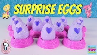 Hatching Hatchimals CollEGGtibles Surprise Egg Palooza Limited Edition Toy Review  PSToyReviews [upl. by Zetnas]