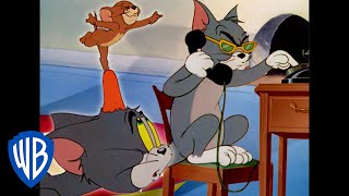 Tom amp Jerry  Your Award Nominated Cartoons Guide  Classic Cartoon Compilation  WB Kids [upl. by Ailegnave]