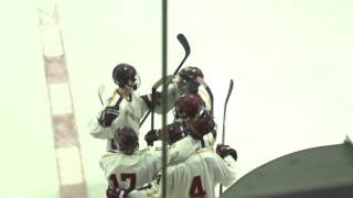 Newburyport Hockey vs Lynnfield 2016 [upl. by Coffee578]