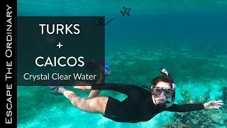 Turks and Caicos Our Best Snorkeling Experience [upl. by Darees381]