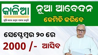 Kalia Yojana New Apply Update 2023  Kalia Yojana Online Apply  Odisha TV [upl. by Quinby]