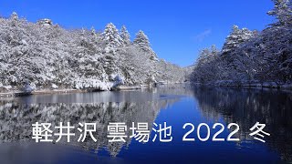 軽井沢 雲場池 2022 冬 [upl. by Aseel321]