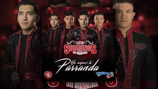 Los Sobrinos De Sinaloa  El Señor Estudio 2018 [upl. by Gilboa]