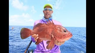 Awesome trip Offshore Fishing in Quepos Costa Rica [upl. by Benoite]