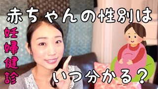 【赤ちゃんの性別】妊婦健診でいつ分かる？聞いたら教えてくれる？ [upl. by Emearg]