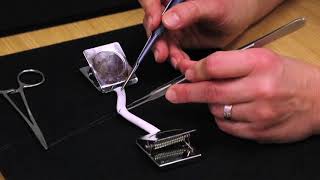 Endto End Anastomosis Tutorial  Henry Ford Health System [upl. by Mayram]