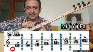 Bağlama Bütün Tellerde Nota Yerleri  Akademik Anlatım  Oğuzhan BOLBOL [upl. by Durwyn]