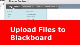 Upload Files to Blackboard [upl. by Padegs]