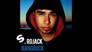 Afrojack  Bangduck Radio Edit [upl. by Akvir681]